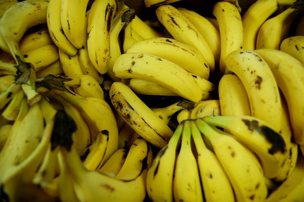 The FILIPINO UNIONISTS STRUGGLE AGAINST MARTIAL LAW And The FASCIST US   Bananas At Cavendish Banana Plantations Panabo City Davao Del Norte 1024x681 