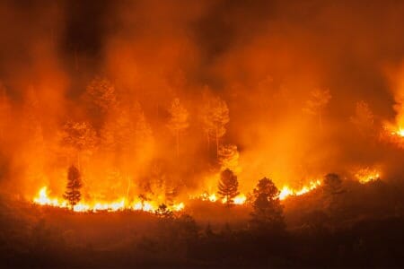 Forest burning indonesia